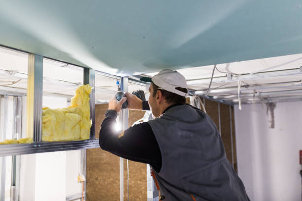 Best Spray Foam Insulation in Elton, LA