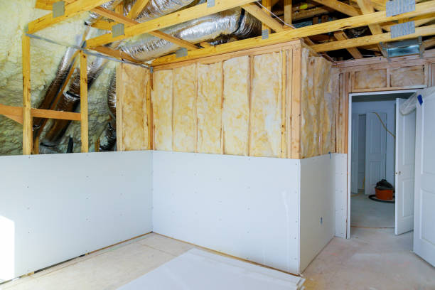 Best Cellulose Insulation in Elton, LA