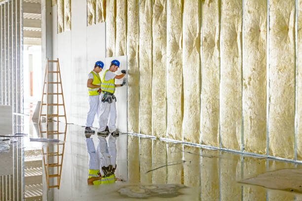 Types of Insulation We Offer in Elton, LA